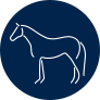 A drawing of a horse on a dark blue background.