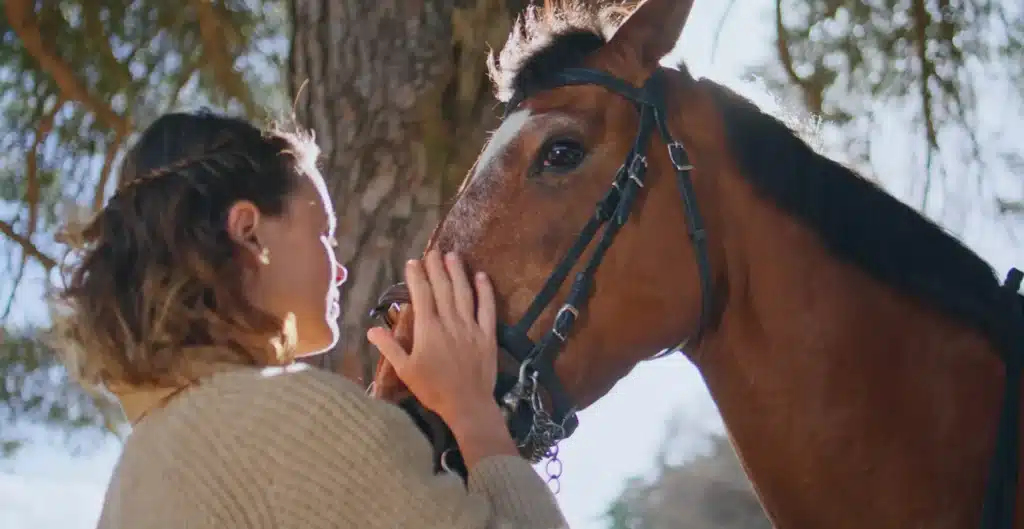 What Is Equine Therapy? Benefits and Uses Explained