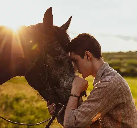 Equine Therapy